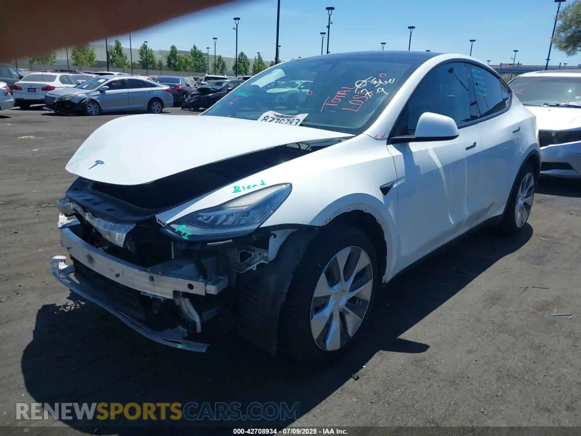2 Photograph of a damaged car 7SAYGDEE3NF363270 TESLA MODEL Y 2022
