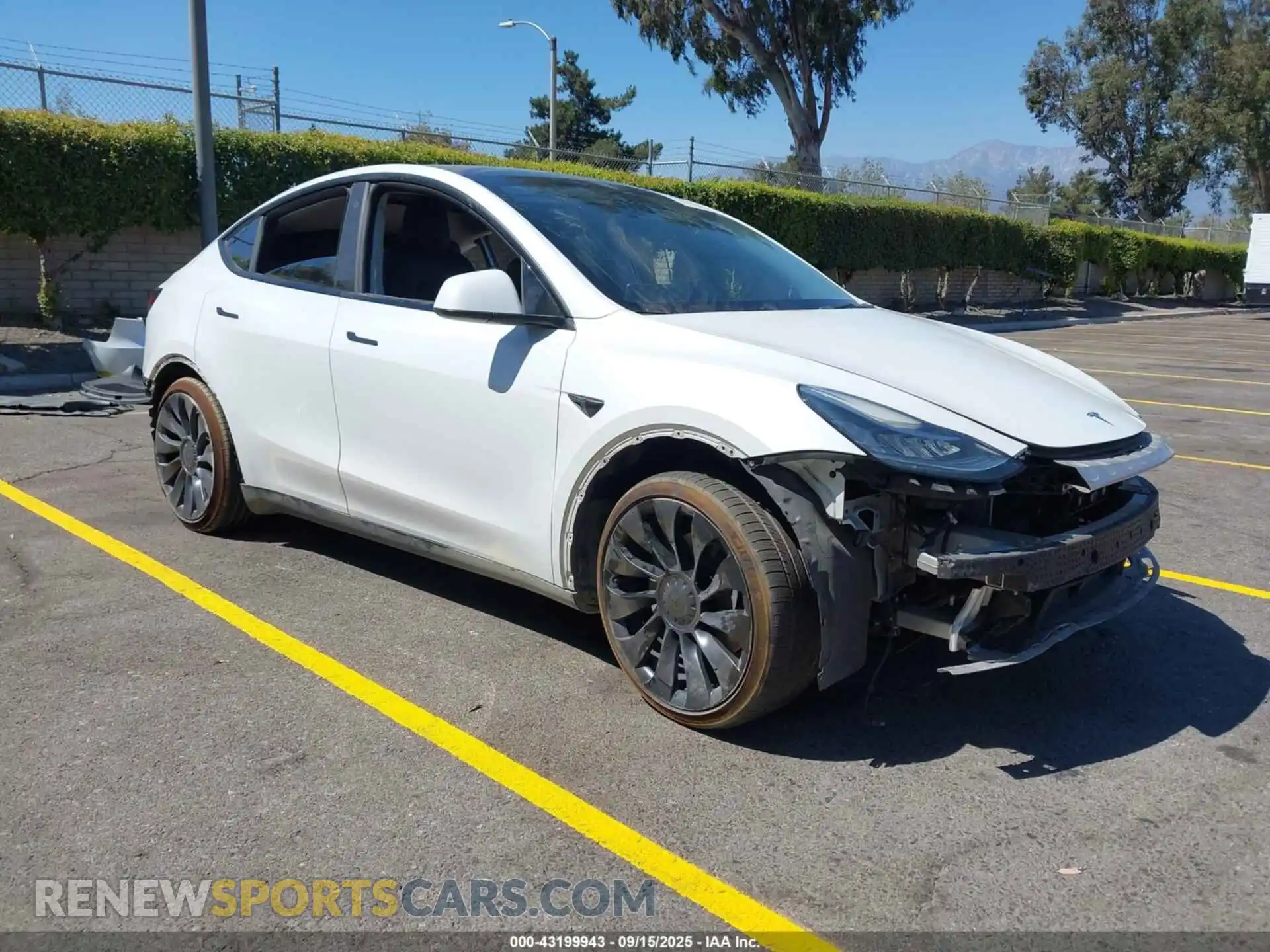 1 Photograph of a damaged car 7SAYGDEE3NF368677 TESLA MODEL Y 2022