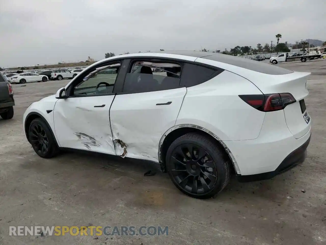 2 Photograph of a damaged car 7SAYGDEE3NF481660 TESLA MODEL Y 2022