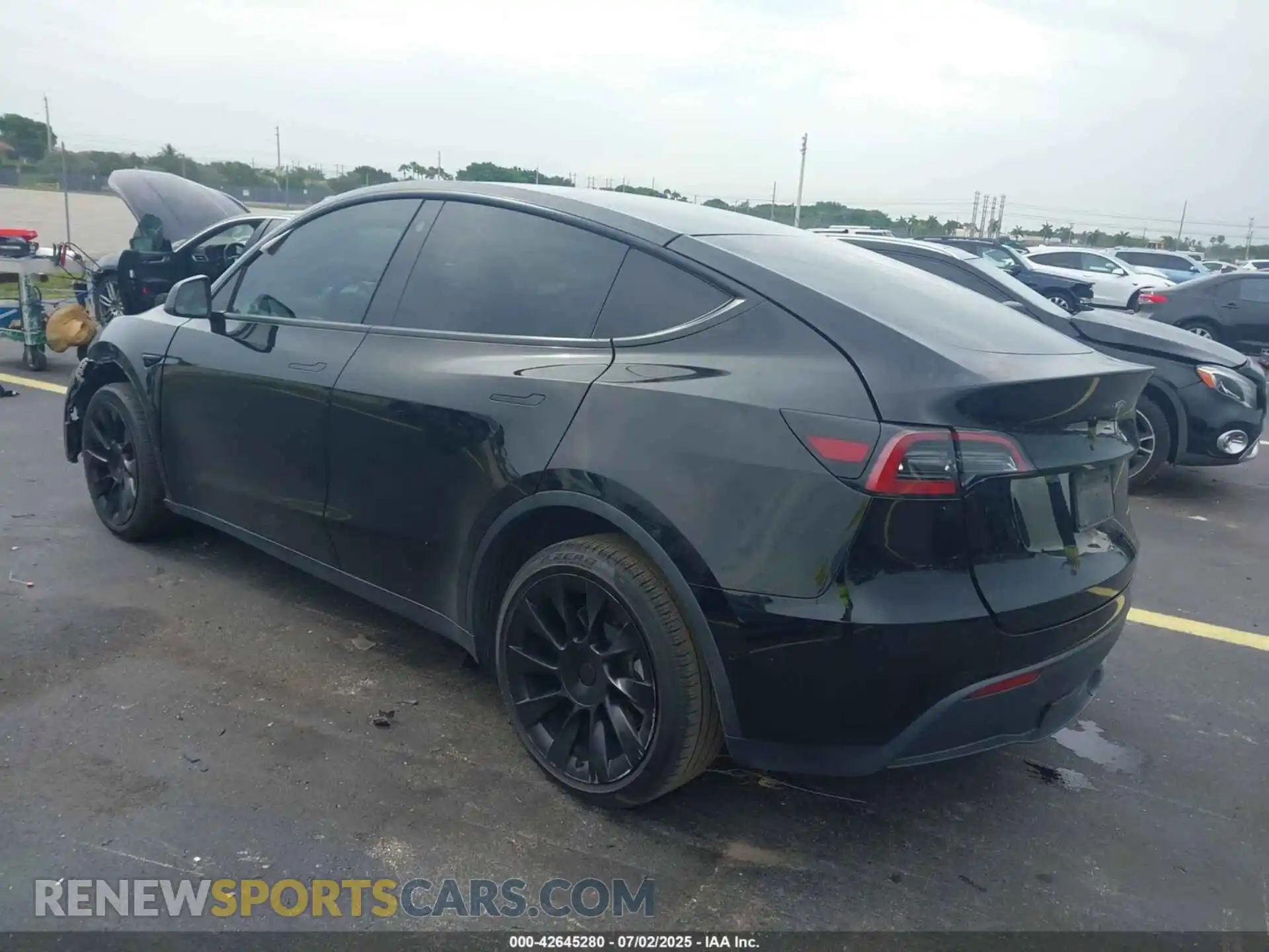 3 Photograph of a damaged car 7SAYGDEE4NF318774 TESLA MODEL Y 2022