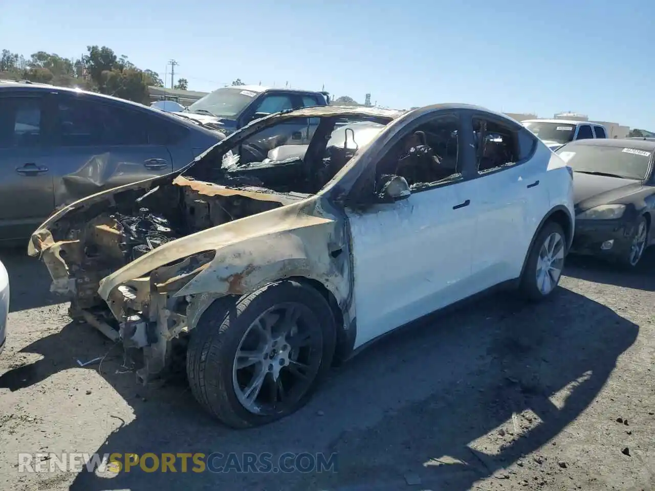1 Photograph of a damaged car 7SAYGDEE4NF513824 TESLA MODEL Y 2022