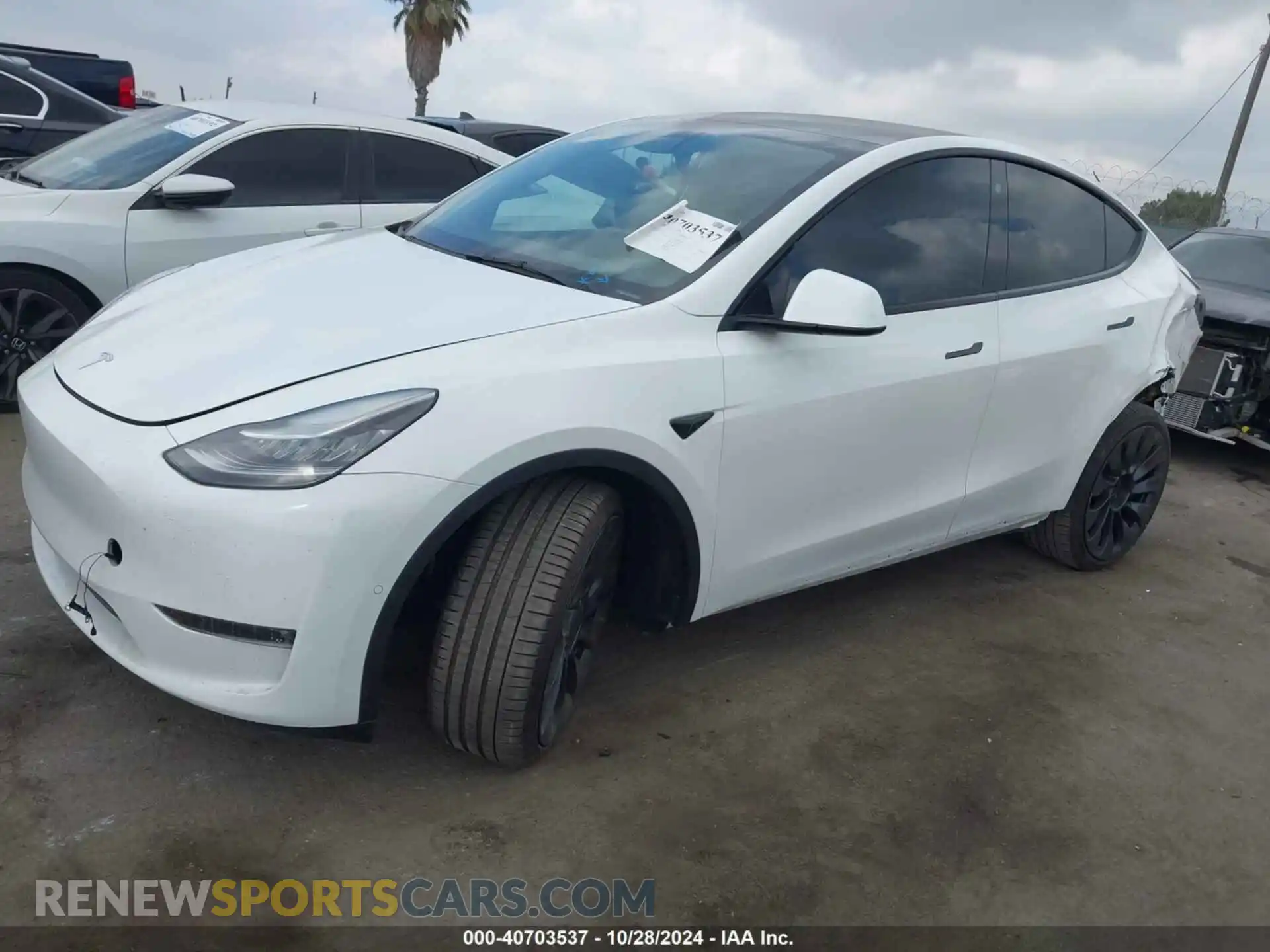 2 Photograph of a damaged car 7SAYGDEE5NF356983 TESLA MODEL Y 2022