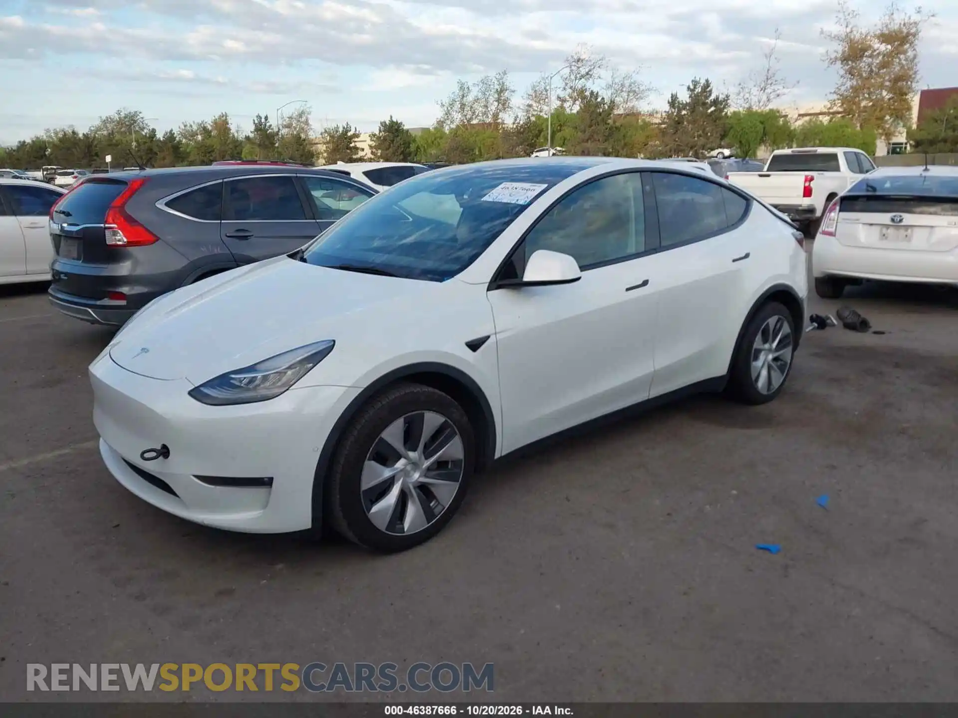 2 Photograph of a damaged car 7SAYGDEE5NF504310 TESLA MODEL Y 2022