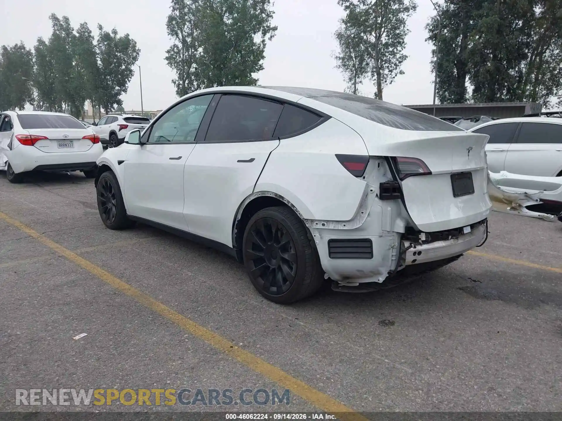 3 Photograph of a damaged car 7SAYGDEE6NF328352 TESLA MODEL Y 2022