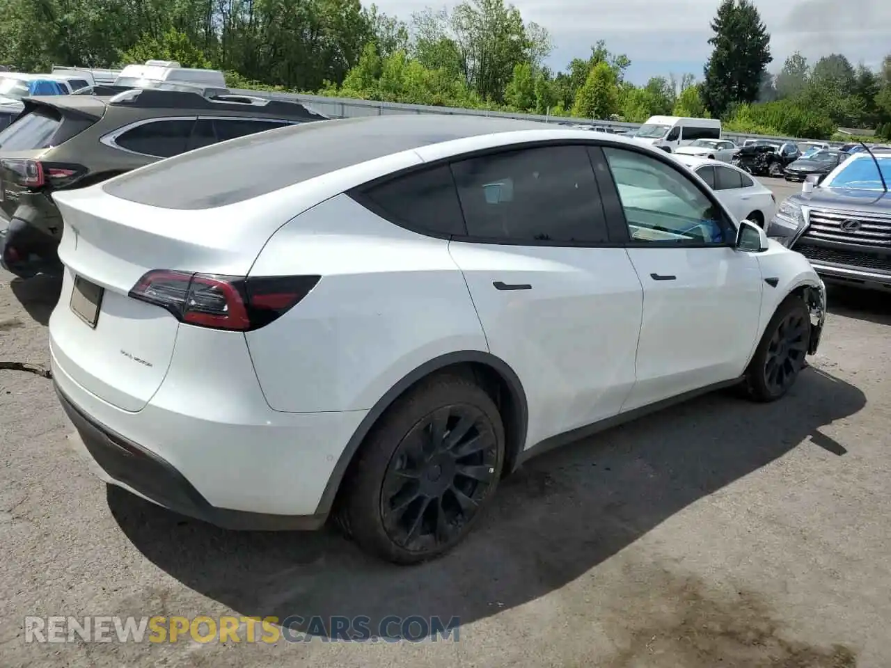 3 Photograph of a damaged car 7SAYGDEE6NF545254 TESLA MODEL Y 2022