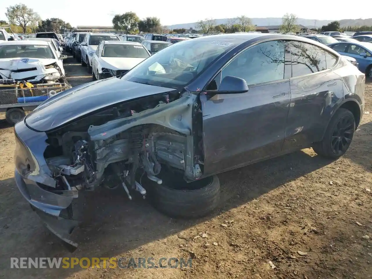 1 Photograph of a damaged car 7SAYGDEE7NF548650 TESLA MODEL Y 2022