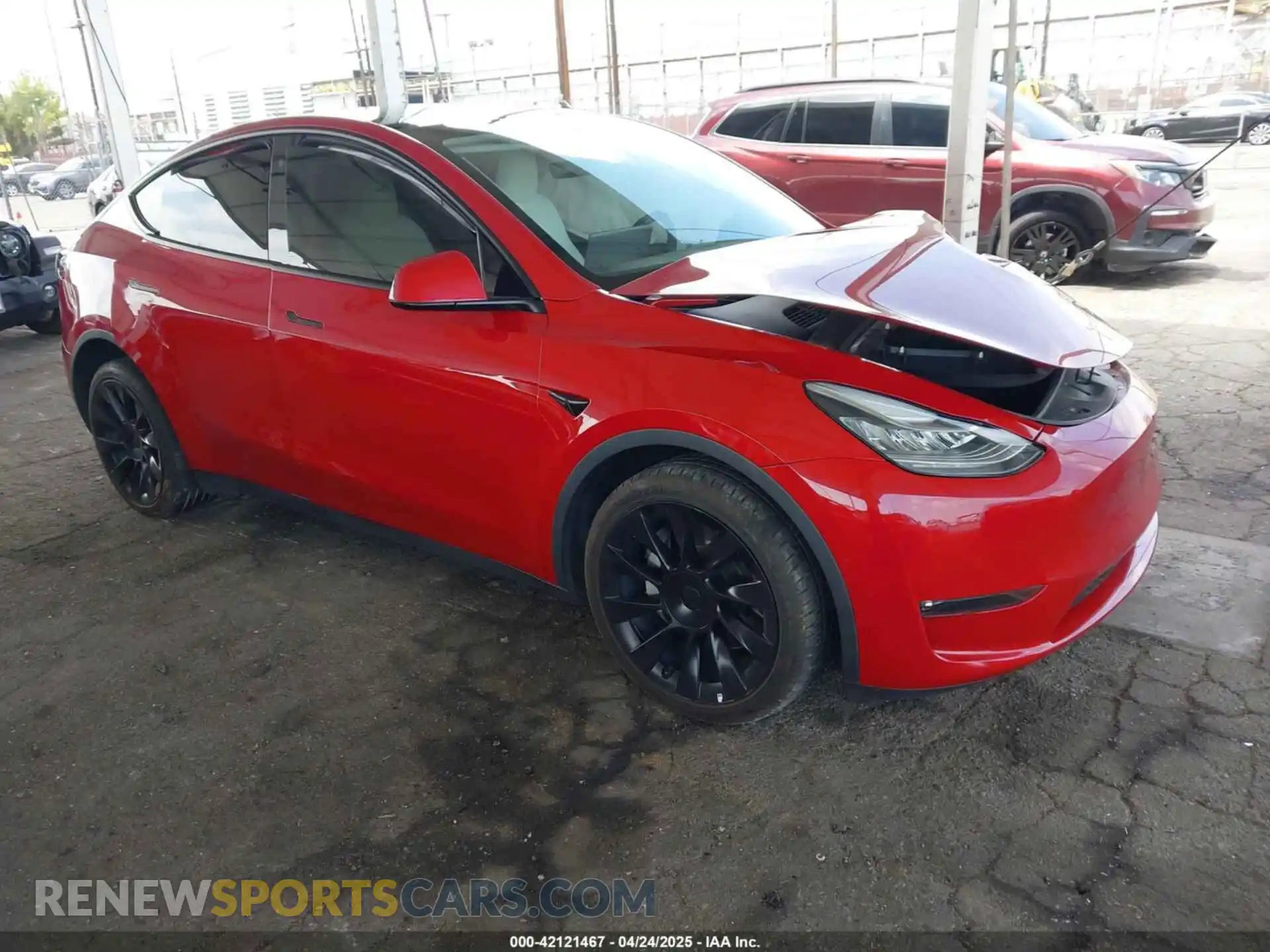 1 Photograph of a damaged car 7SAYGDEE8NF349395 TESLA MODEL Y 2022