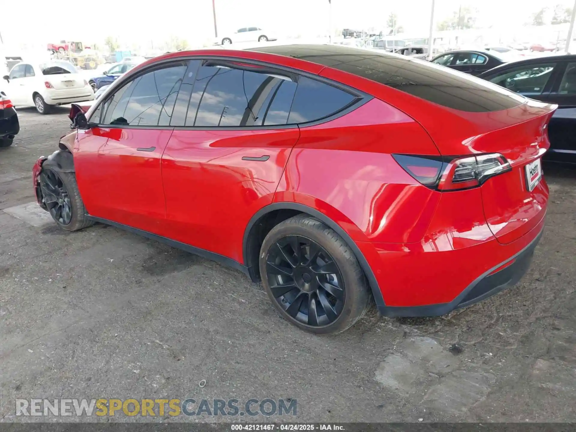 3 Photograph of a damaged car 7SAYGDEE8NF349395 TESLA MODEL Y 2022