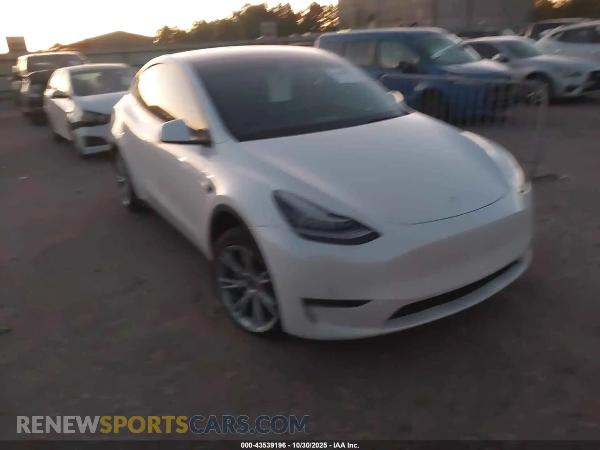 1 Photograph of a damaged car 7SAYGDEE8NF357061 TESLA MODEL Y 2022