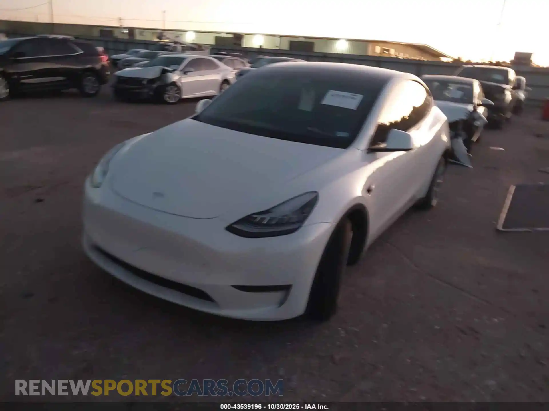 2 Photograph of a damaged car 7SAYGDEE8NF357061 TESLA MODEL Y 2022