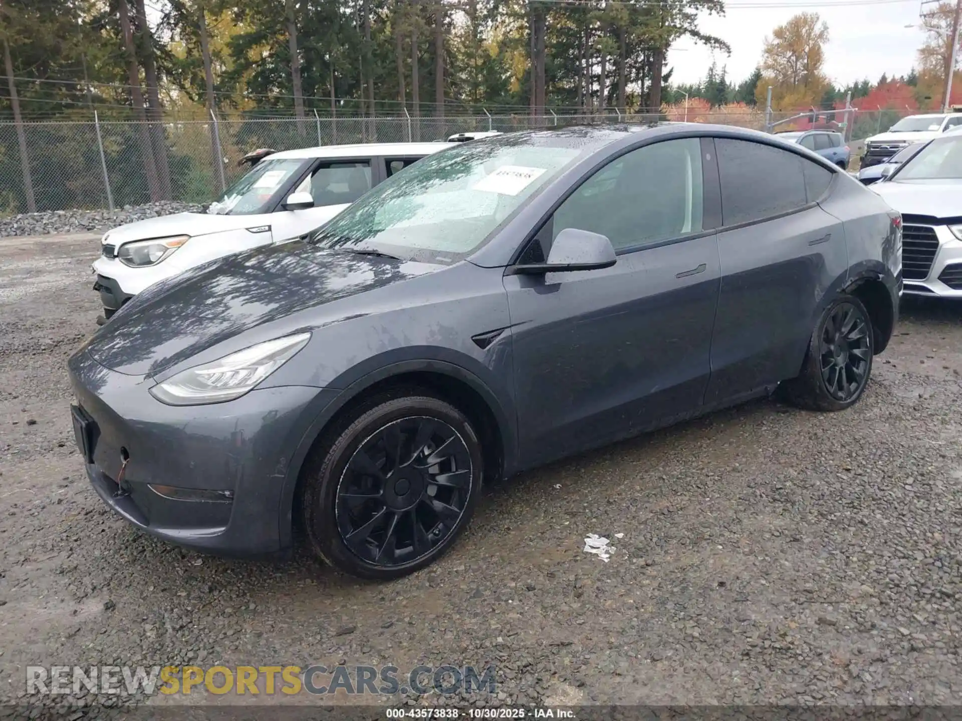 2 Photograph of a damaged car 7SAYGDEE8NF576652 TESLA MODEL Y 2022