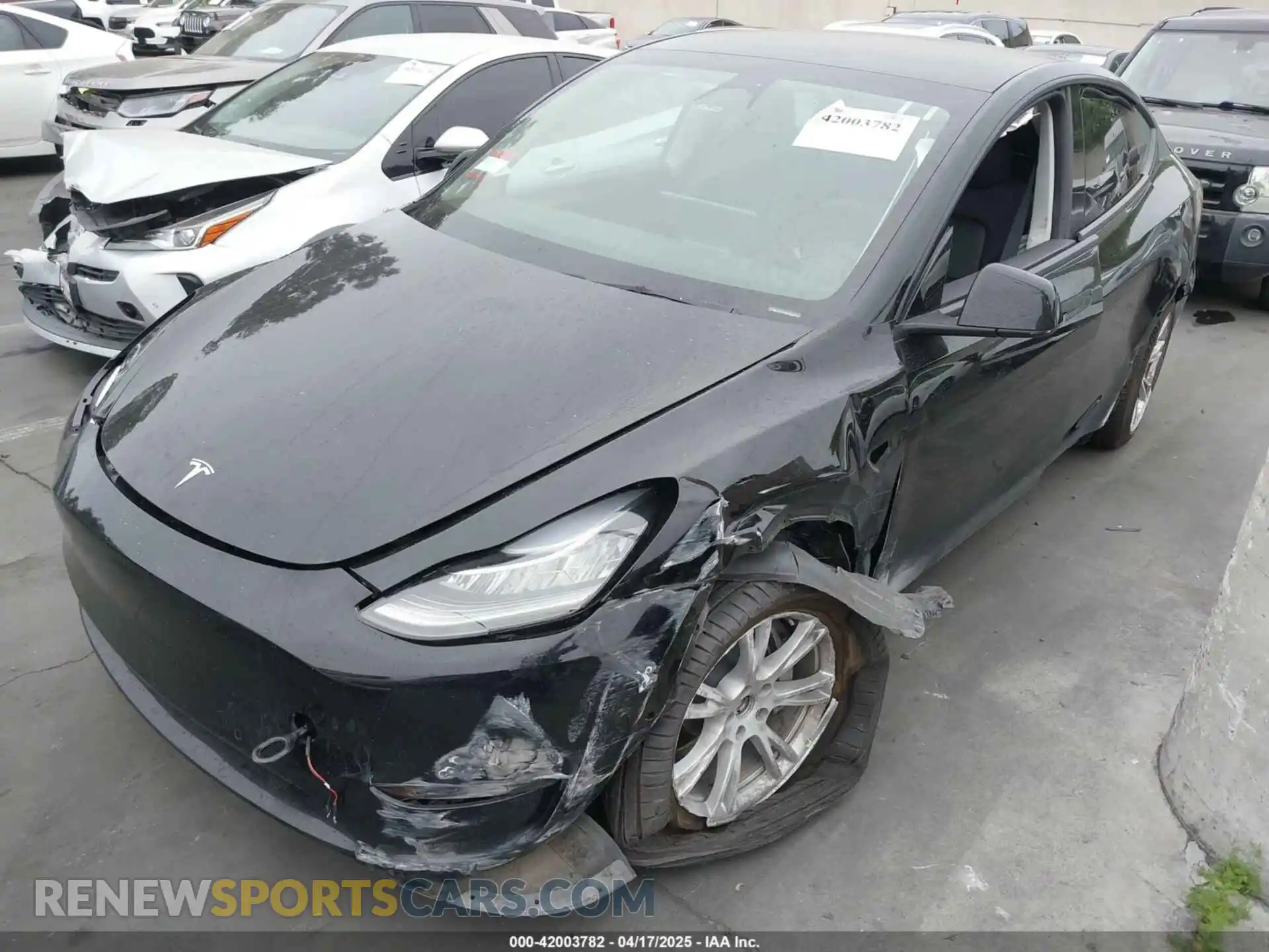 2 Photograph of a damaged car 7SAYGDEE9NA022842 TESLA MODEL Y 2022