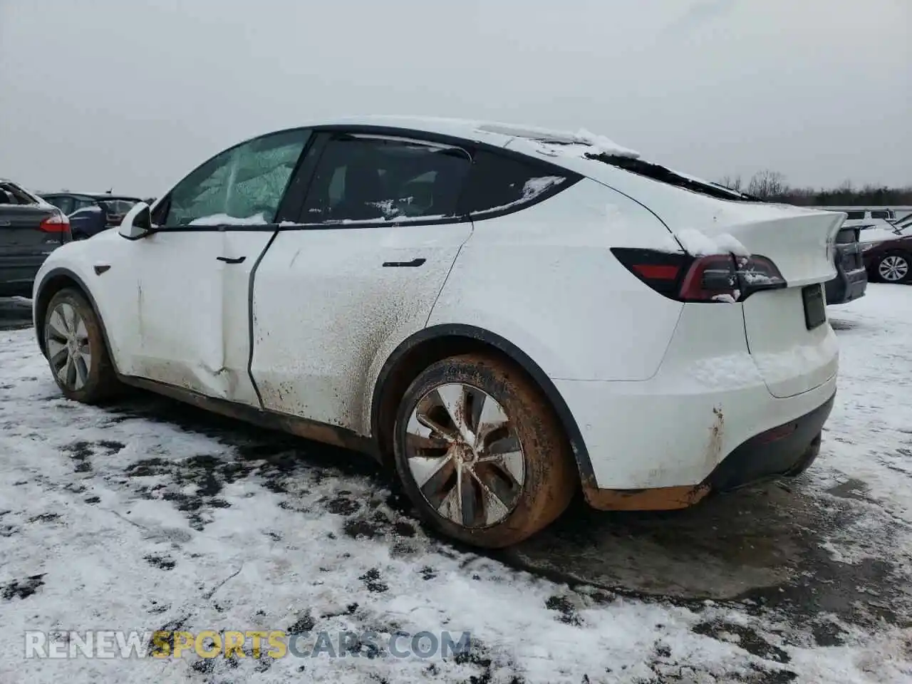 2 Photograph of a damaged car 7SAYGDEE9NF353469 TESLA MODEL Y 2022