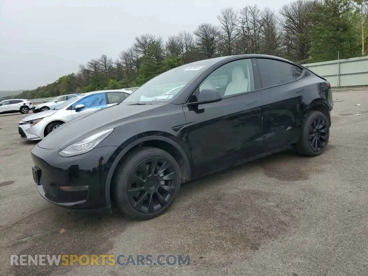 1 Photograph of a damaged car 7SAYGDEE9NF498768 TESLA MODEL Y 2022