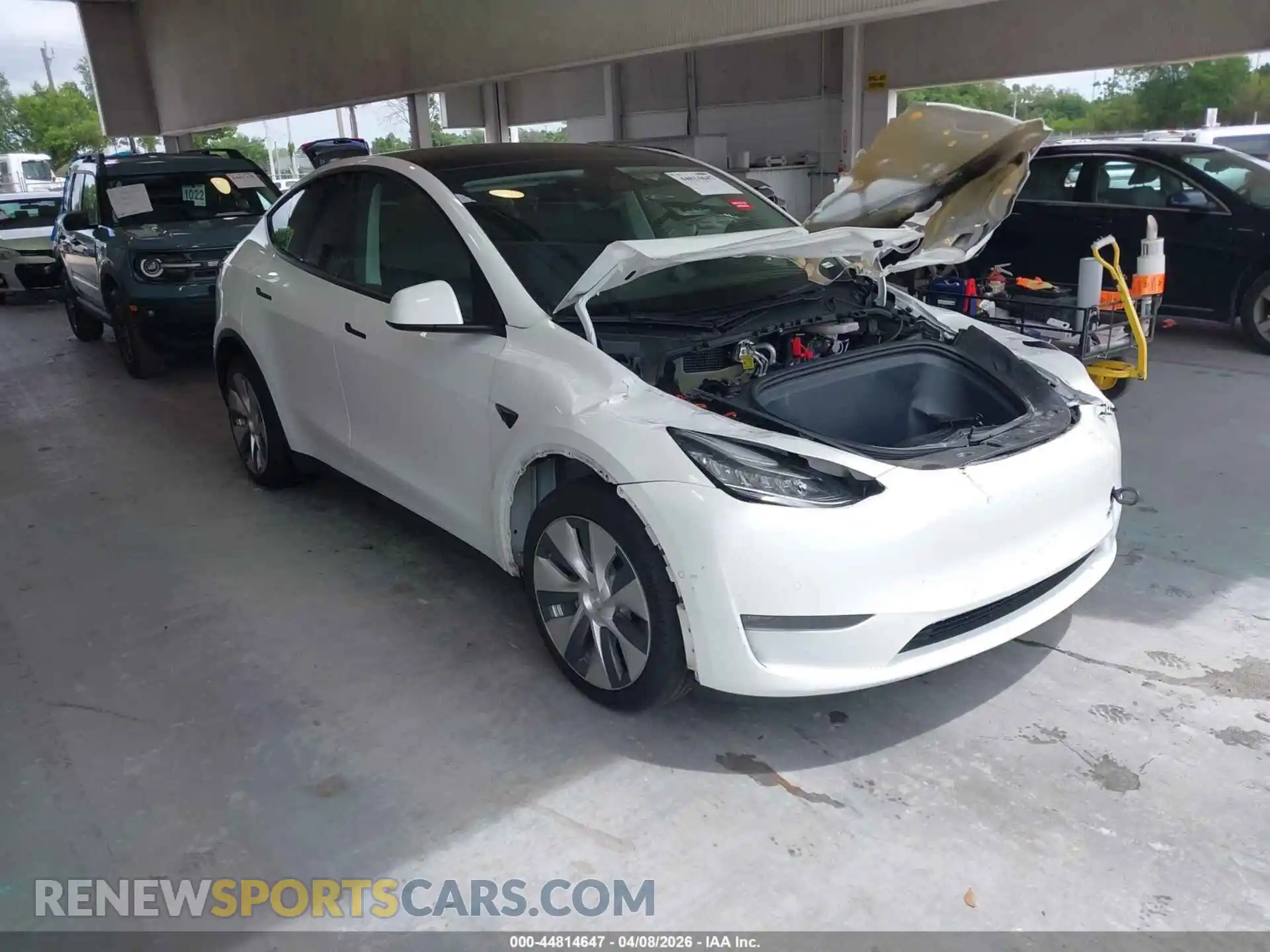 1 Photograph of a damaged car 7SAYGDEEXNF369602 TESLA MODEL Y 2022