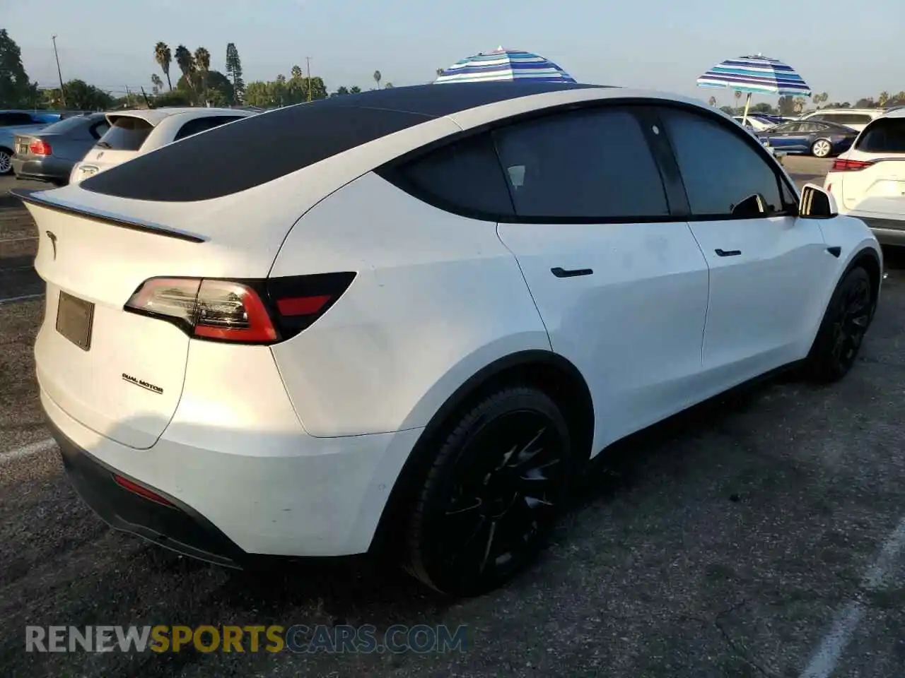 3 Photograph of a damaged car 7SAYGDEEXNF380521 TESLA MODEL Y 2022