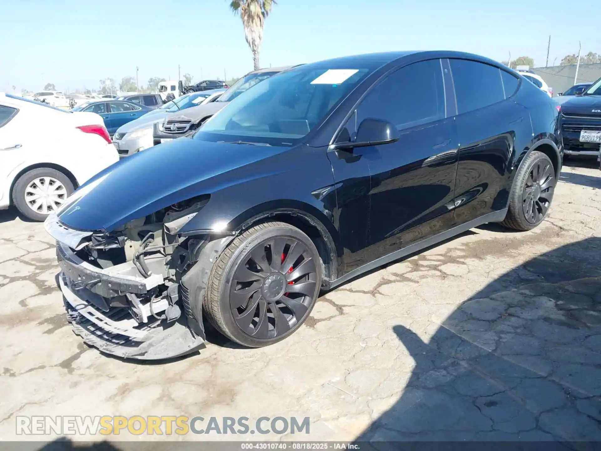 2 fotografías del automóvil dañado 7SAYGDEF0NF403779 TESLA MODEL Y 2022