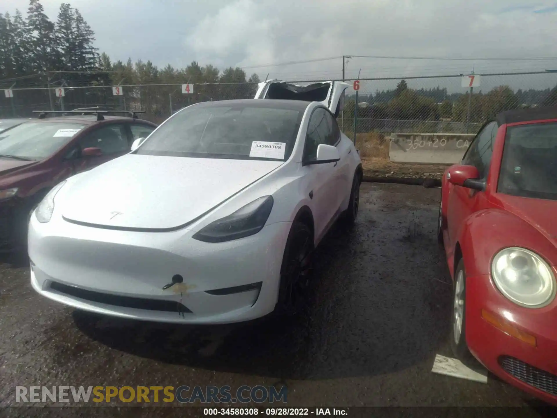 2 Photograph of a damaged car 7SAYGDEF0NF463724 TESLA MODEL Y 2022