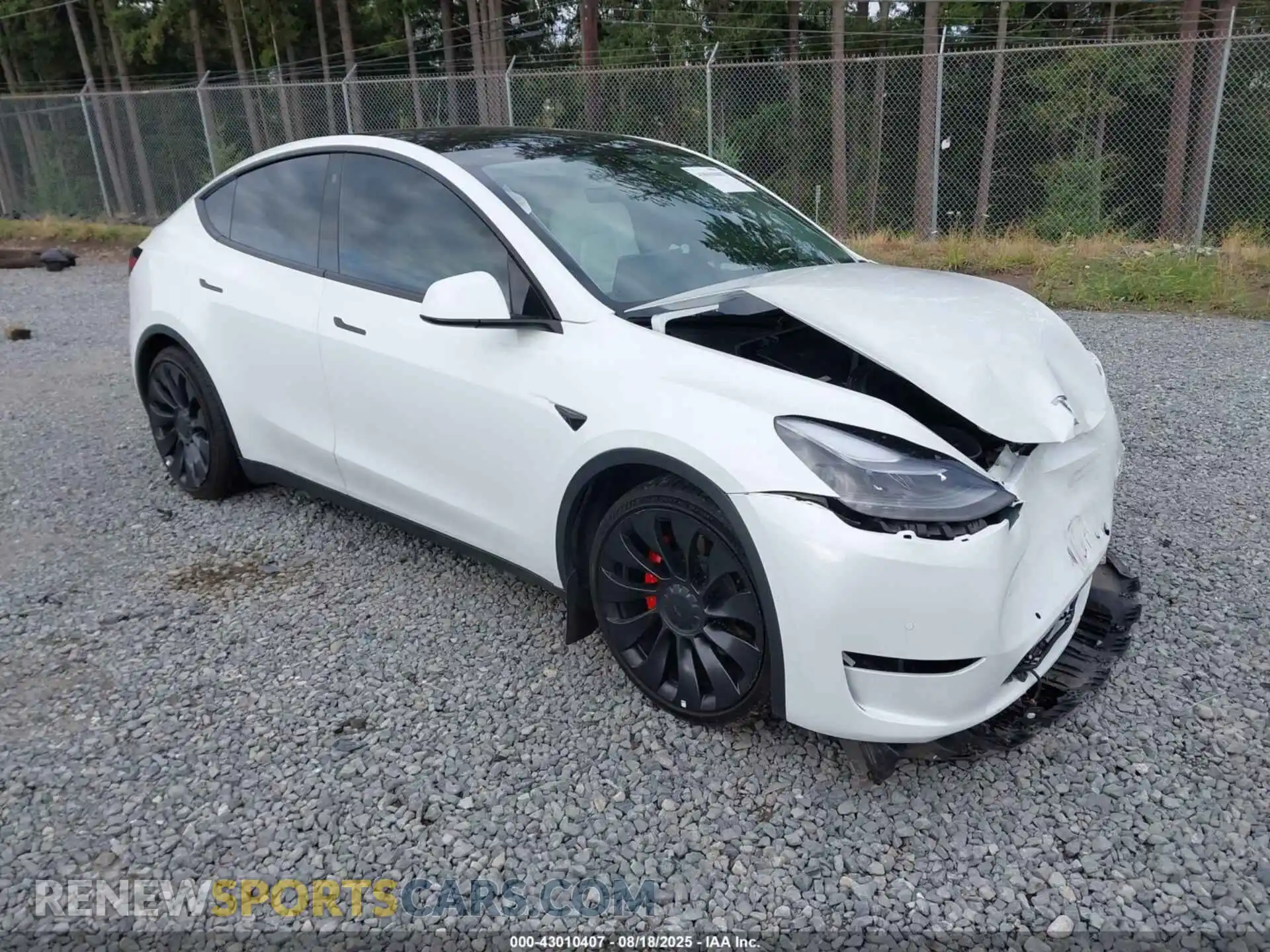 1 Photograph of a damaged car 7SAYGDEF3NF565275 TESLA MODEL Y 2022