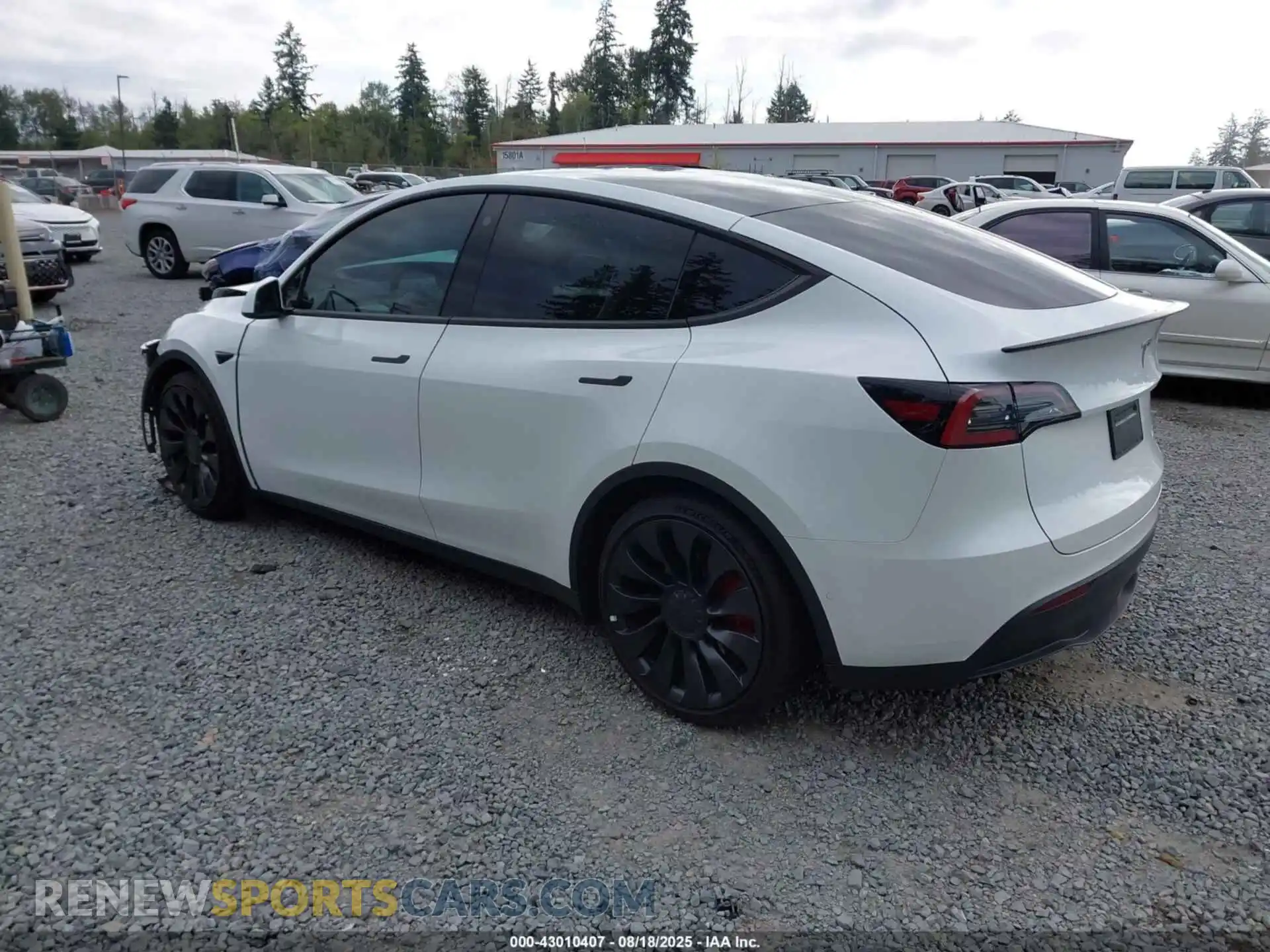 3 Photograph of a damaged car 7SAYGDEF3NF565275 TESLA MODEL Y 2022
