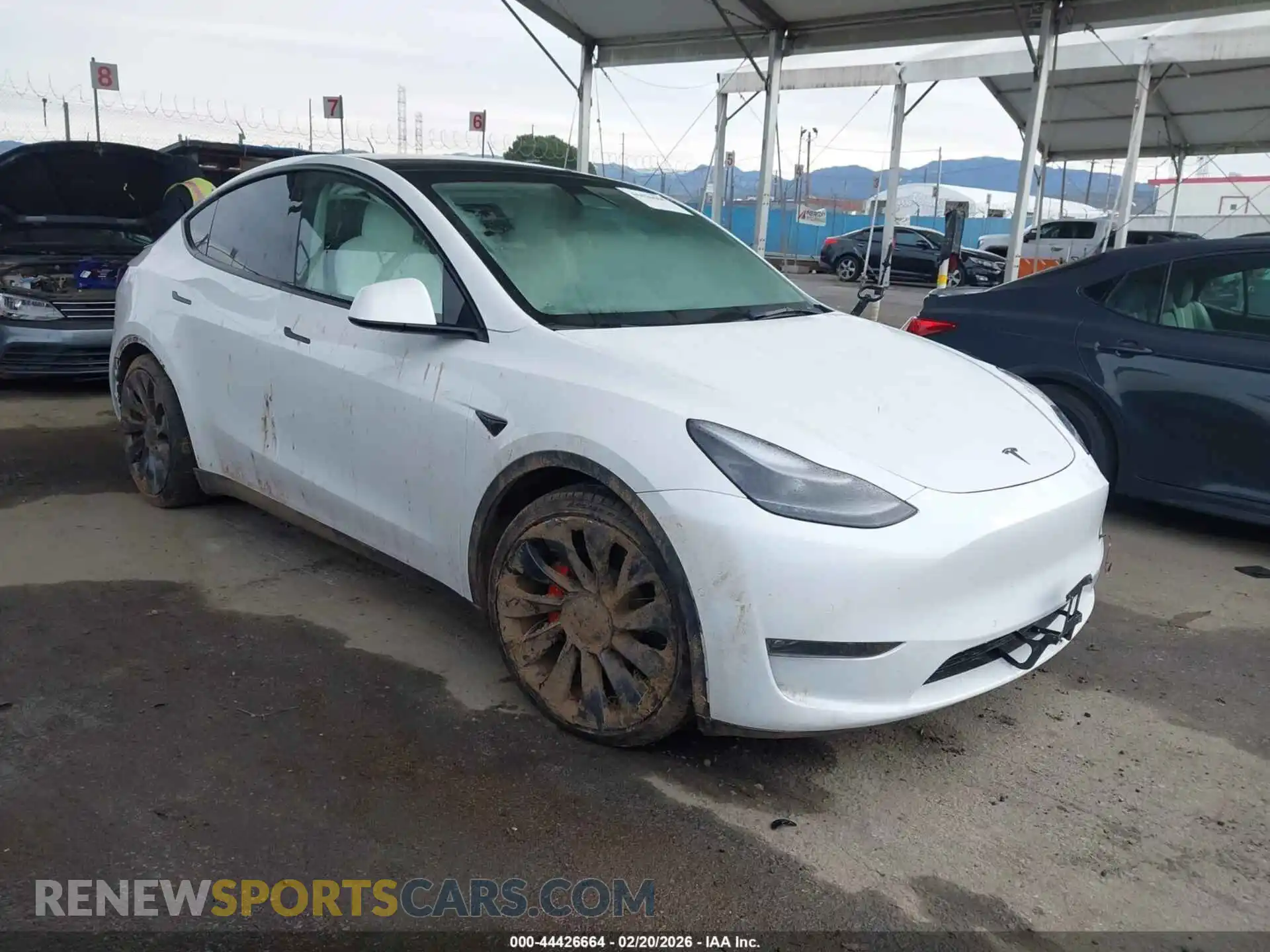 1 Photograph of a damaged car 7SAYGDEF5NF410534 TESLA MODEL Y 2022