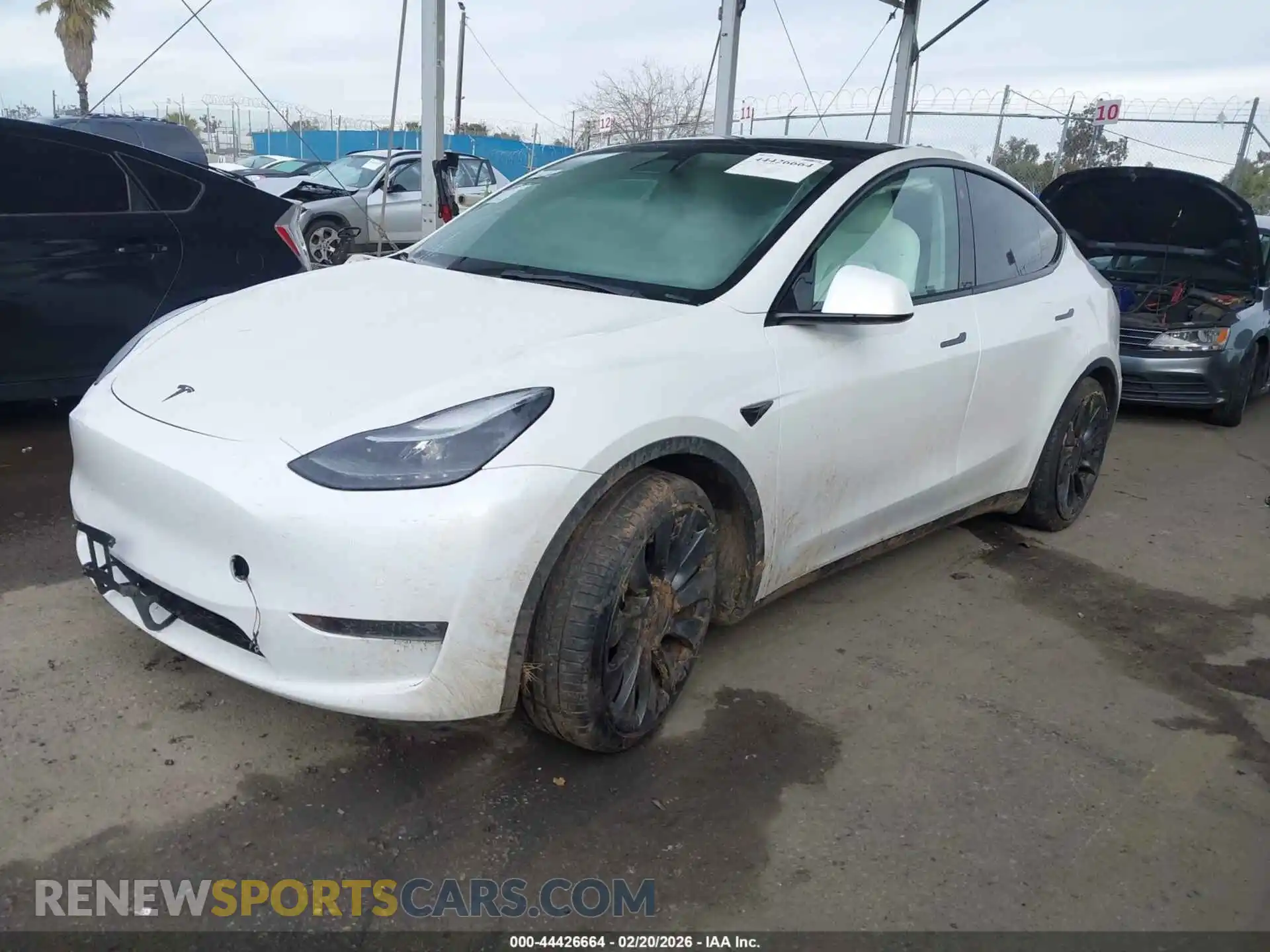 2 Photograph of a damaged car 7SAYGDEF5NF410534 TESLA MODEL Y 2022