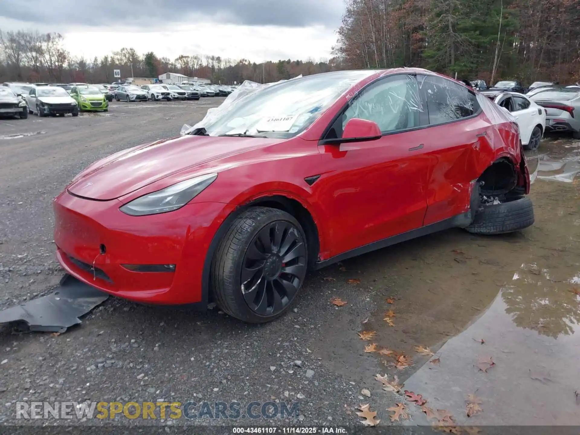2 Photograph of a damaged car 7SAYGDEF6NF379665 TESLA MODEL Y 2022