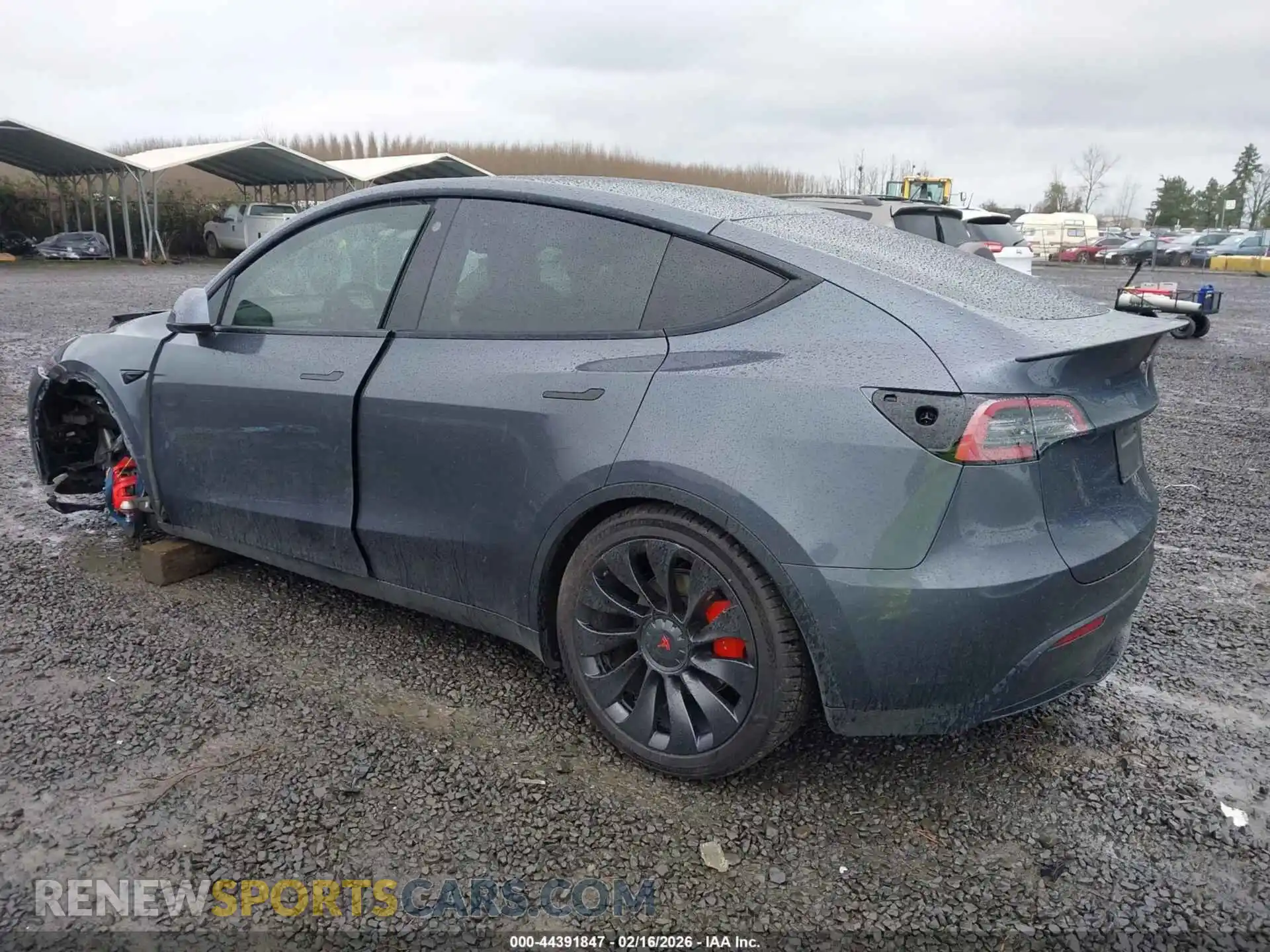 3 Photograph of a damaged car 7SAYGDEF7NF374104 TESLA MODEL Y 2022