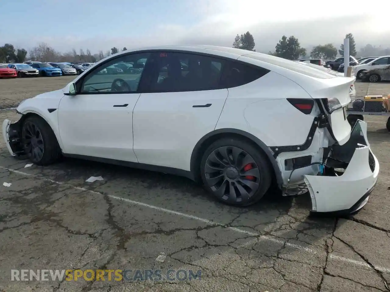 2 fotografías del automóvil dañado 7SAYGDEFXNF346250 TESLA MODEL Y 2022