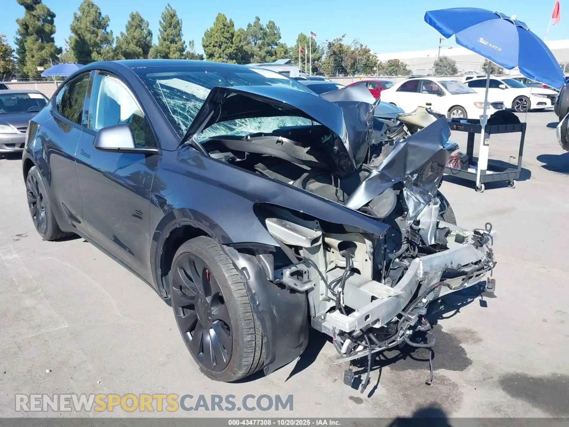 1 Photograph of a damaged car 7SAYGDEFXNF487500 TESLA MODEL Y 2022