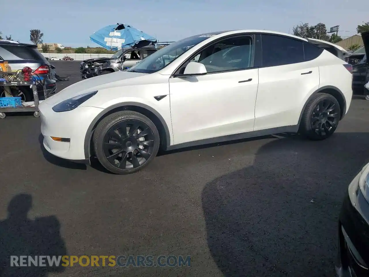 1 Photograph of a damaged car 7SAYGAEE1PF620198 TESLA MODEL Y 2023
