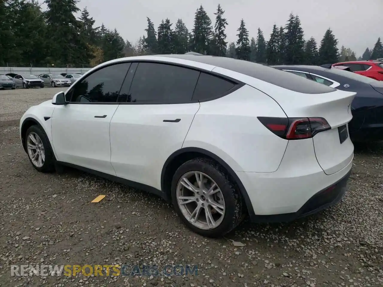 2 Photograph of a damaged car 7SAYGAEE2PF737823 TESLA MODEL Y 2023