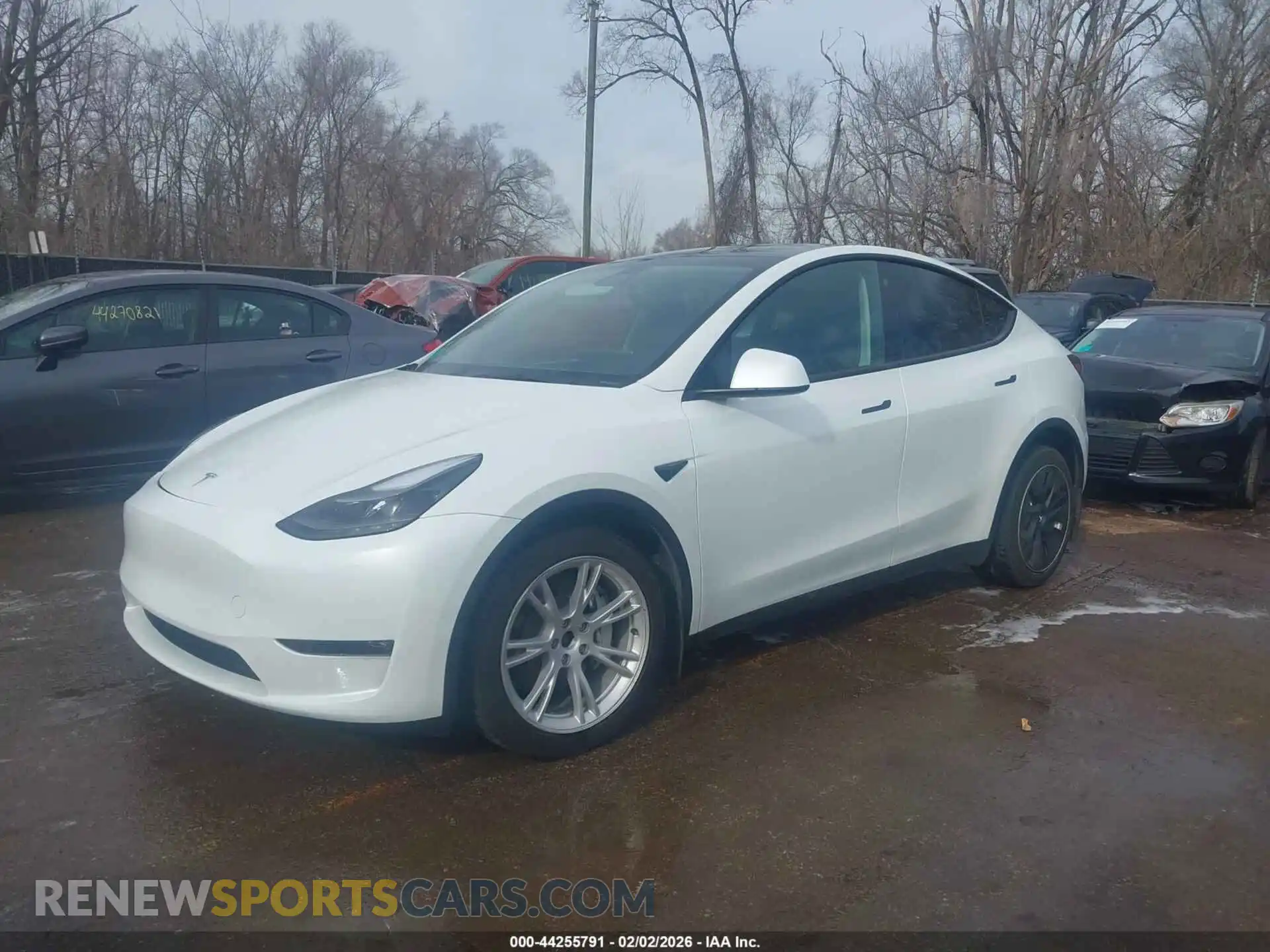 2 Photograph of a damaged car 7SAYGAEE2PF779988 TESLA MODEL Y 2023