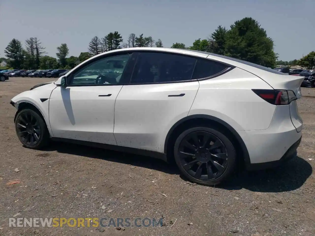 2 Photograph of a damaged car 7SAYGAEE3PF665191 TESLA MODEL Y 2023