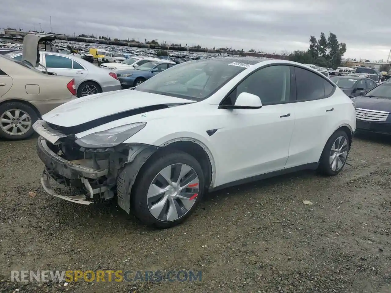 1 Photograph of a damaged car 7SAYGAEE4PF881101 TESLA MODEL Y 2023