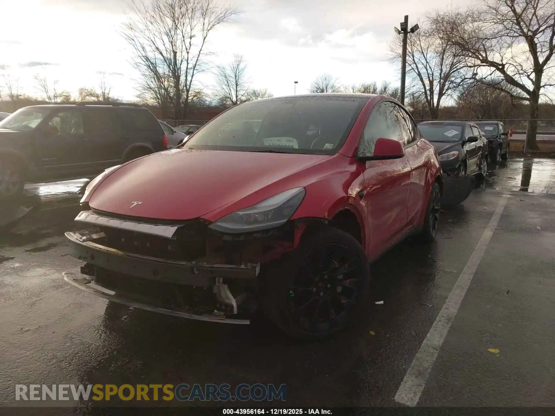 2 Photograph of a damaged car 7SAYGAEE5PF686060 TESLA MODEL Y 2023