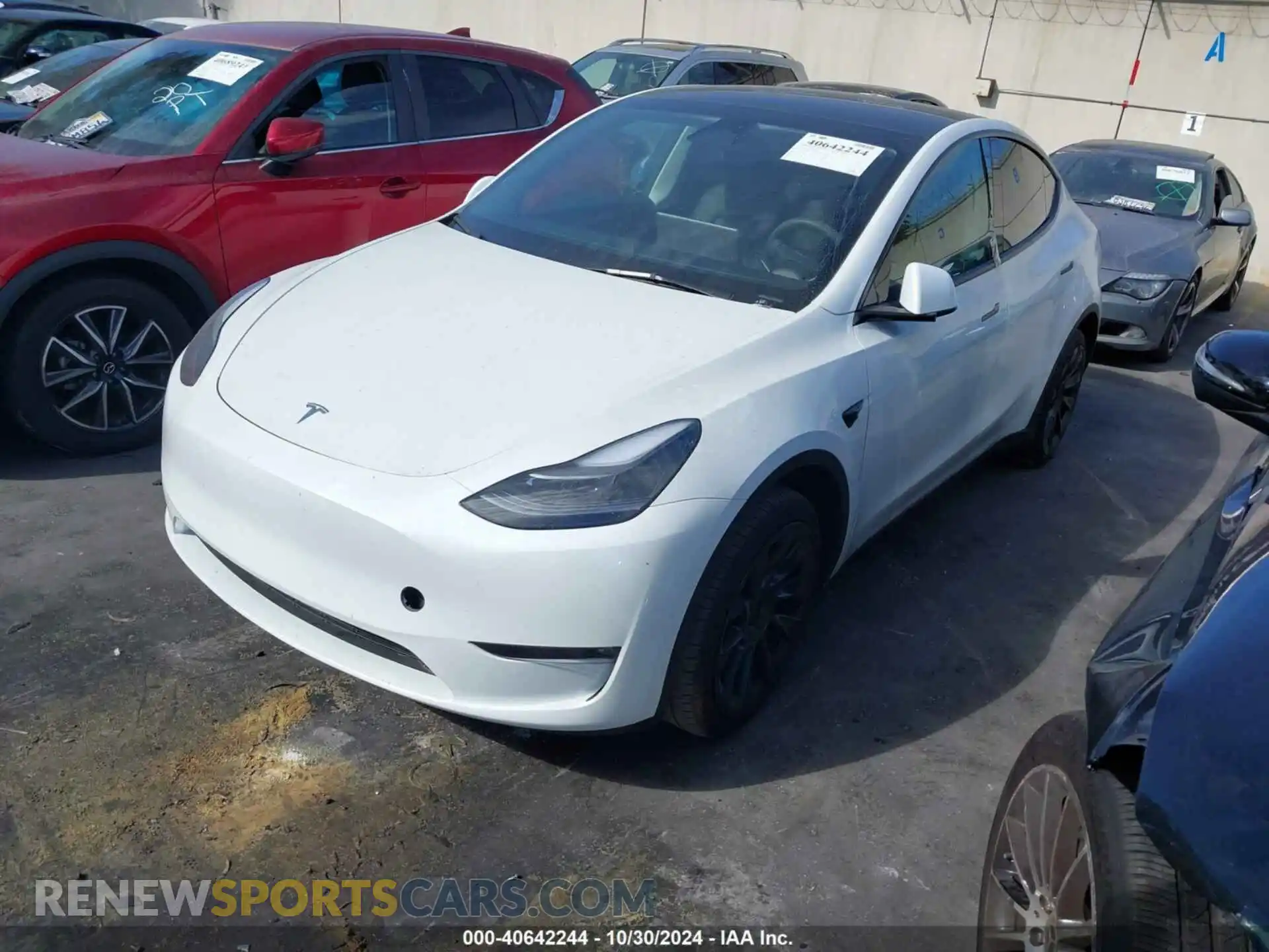 2 Photograph of a damaged car 7SAYGAEE6PF769769 TESLA MODEL Y 2023