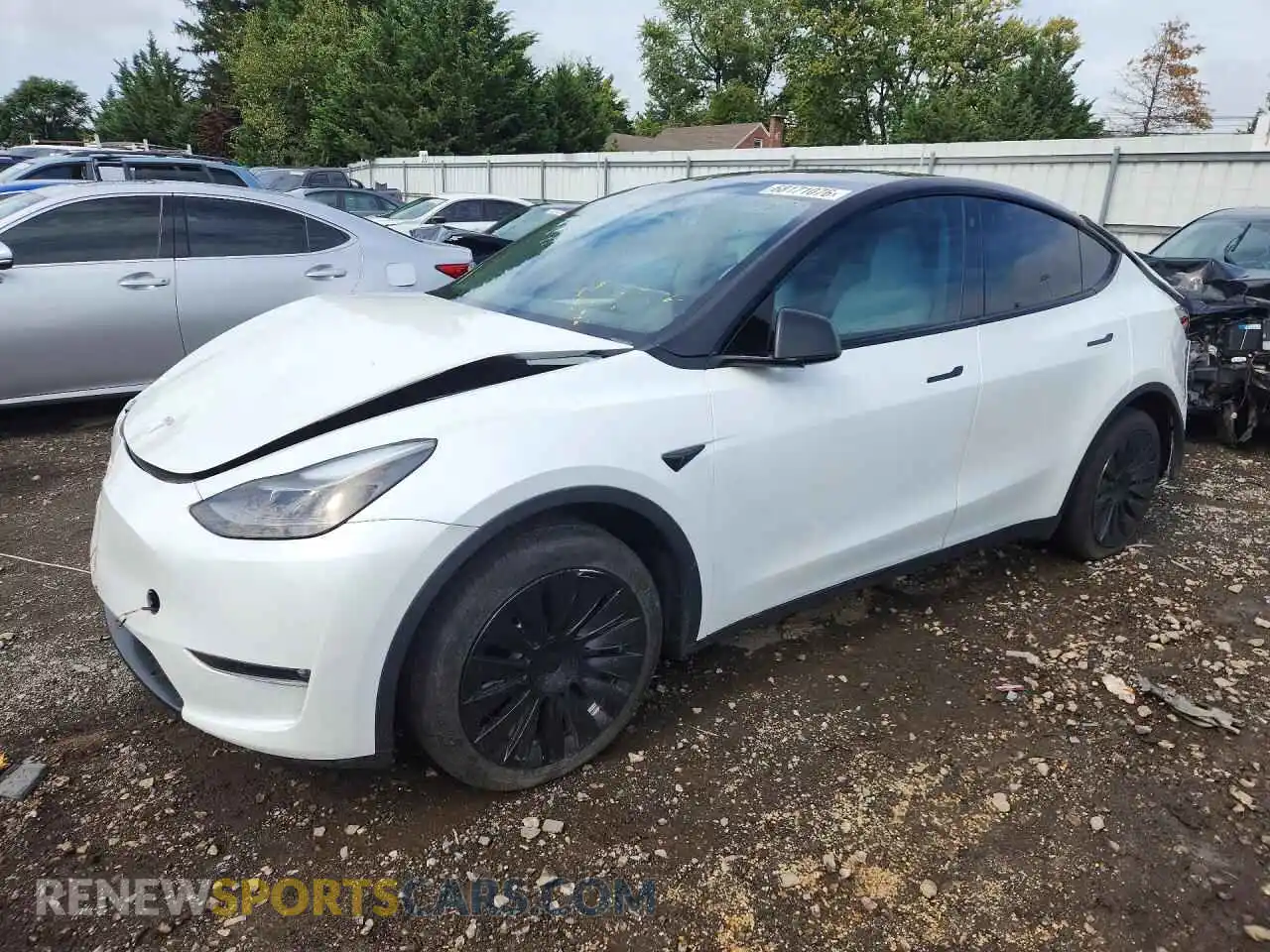 1 Фотография поврежденного автомобиля 7SAYGAEE9PF776974 TESLA MODEL Y 2023
