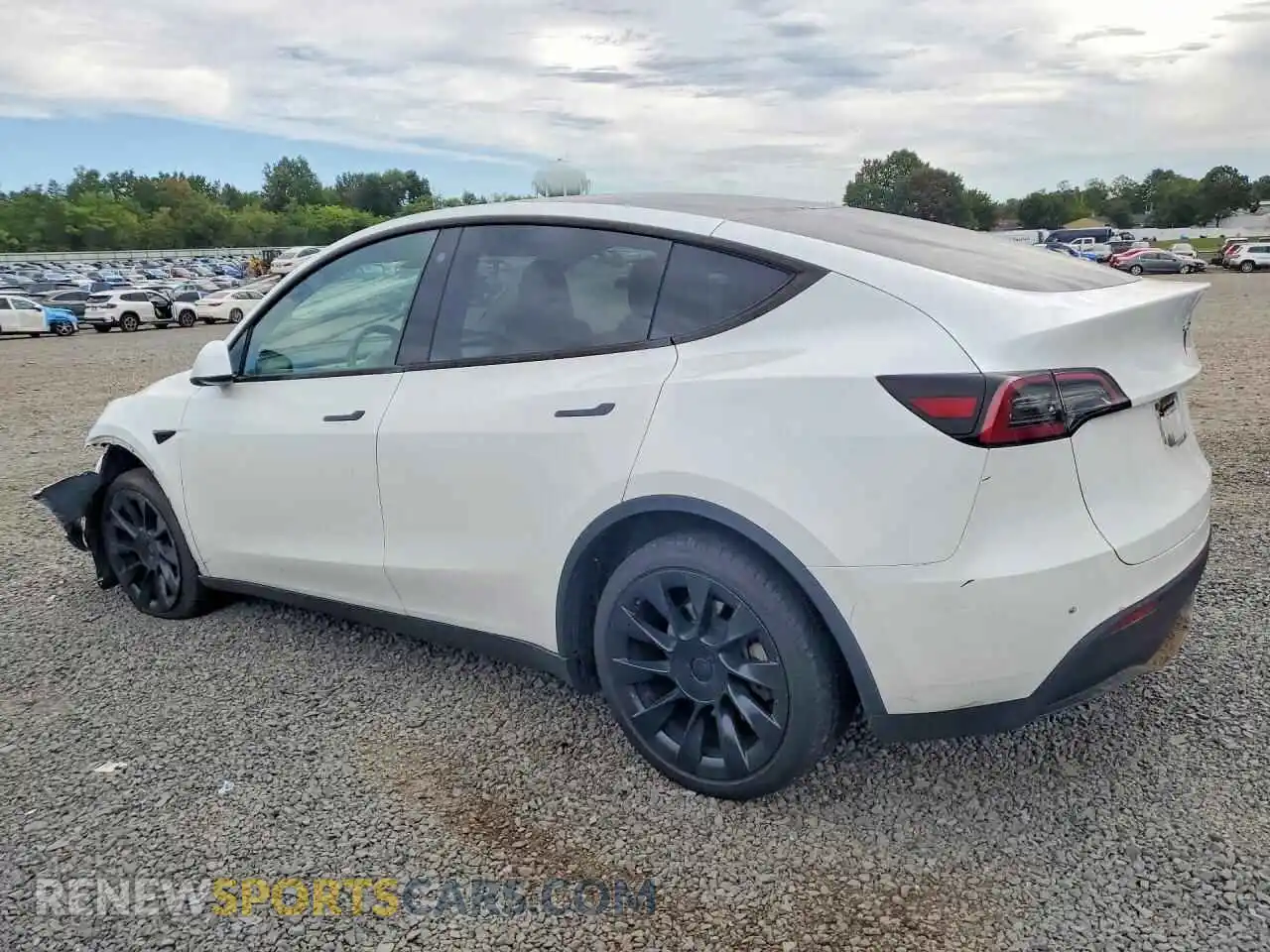2 Photograph of a damaged car 7SAYGDEE0PA128941 TESLA MODEL Y 2023