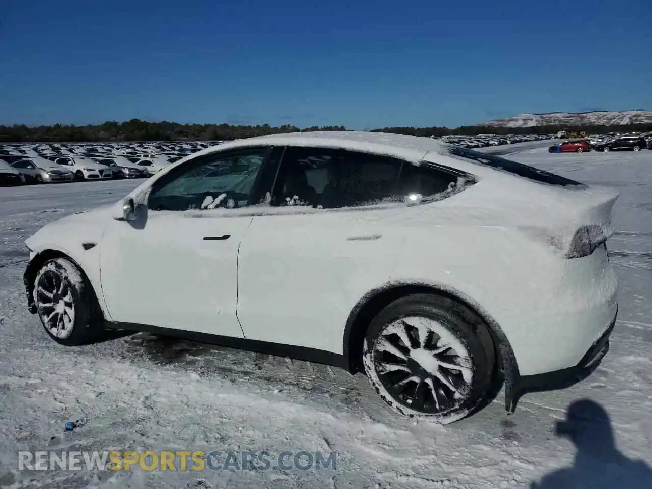 2 Photograph of a damaged car 7SAYGDEE0PF609114 TESLA MODEL Y 2023