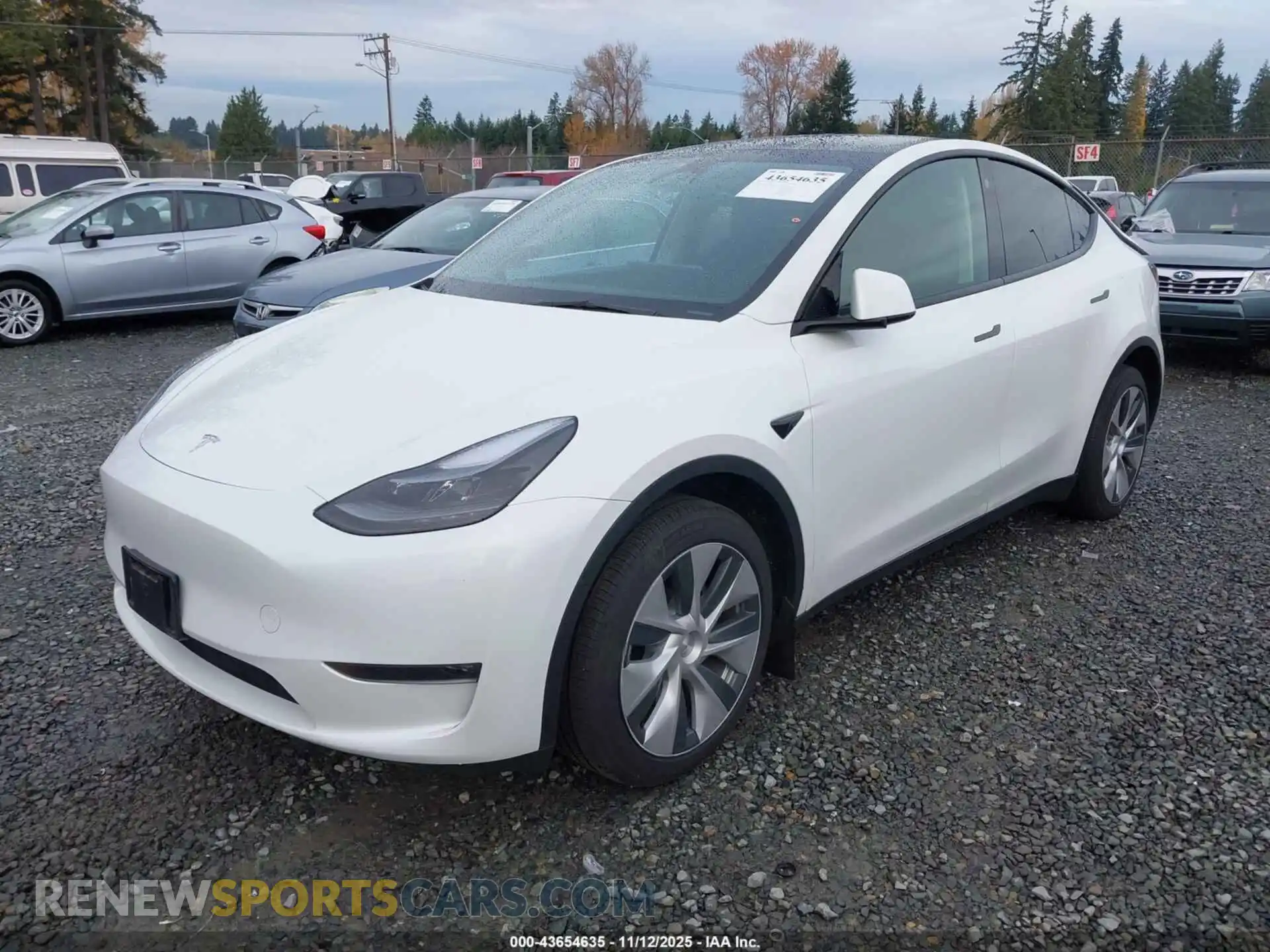 2 Photograph of a damaged car 7SAYGDEE0PF754492 TESLA MODEL Y 2023