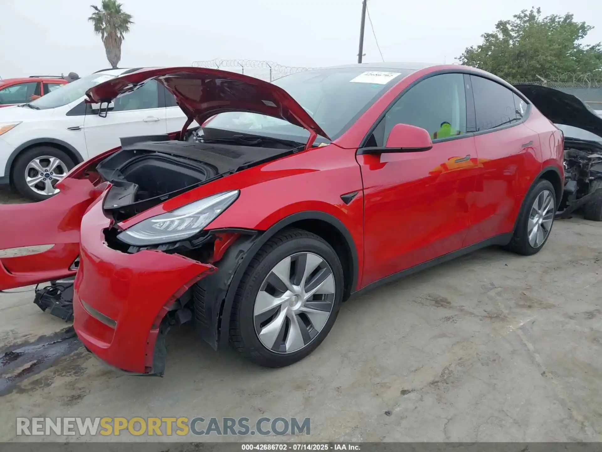 2 Photograph of a damaged car 7SAYGDEE1PA034003 TESLA MODEL Y 2023