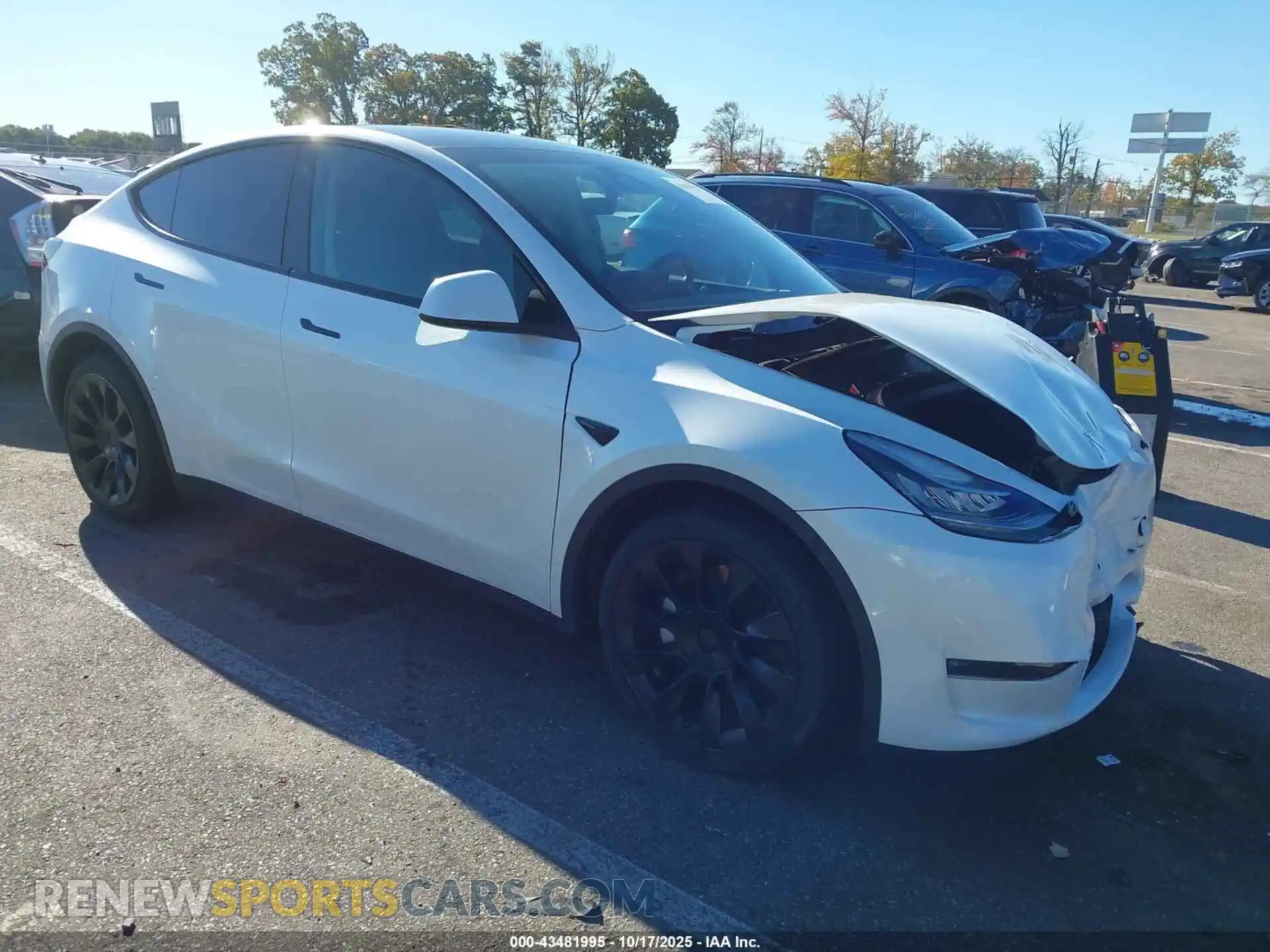 1 Photograph of a damaged car 7SAYGDEE1PA110416 TESLA MODEL Y 2023