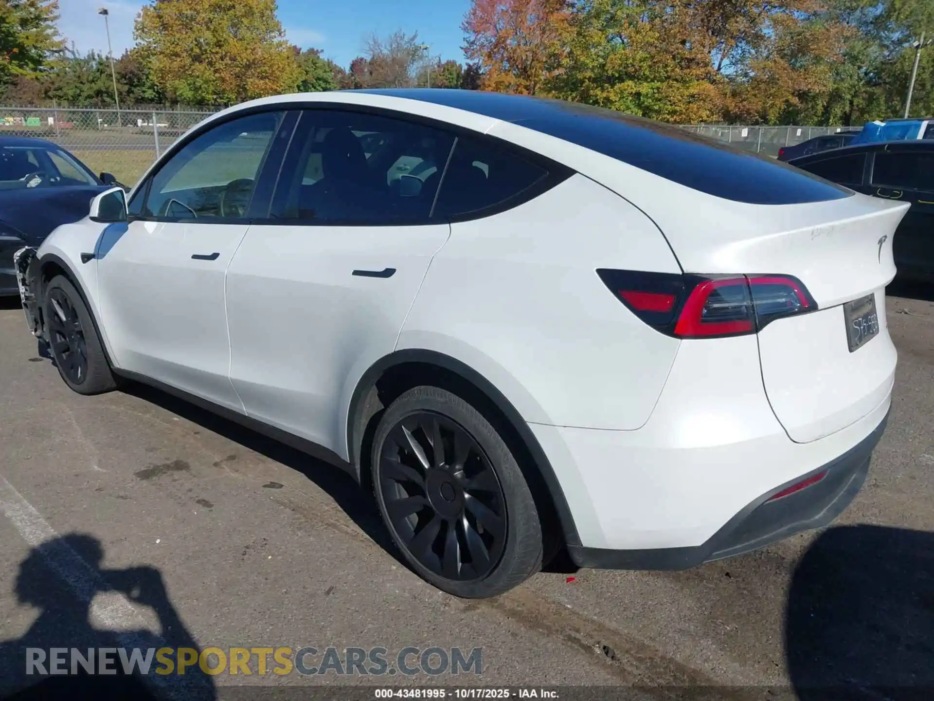 3 Photograph of a damaged car 7SAYGDEE1PA110416 TESLA MODEL Y 2023