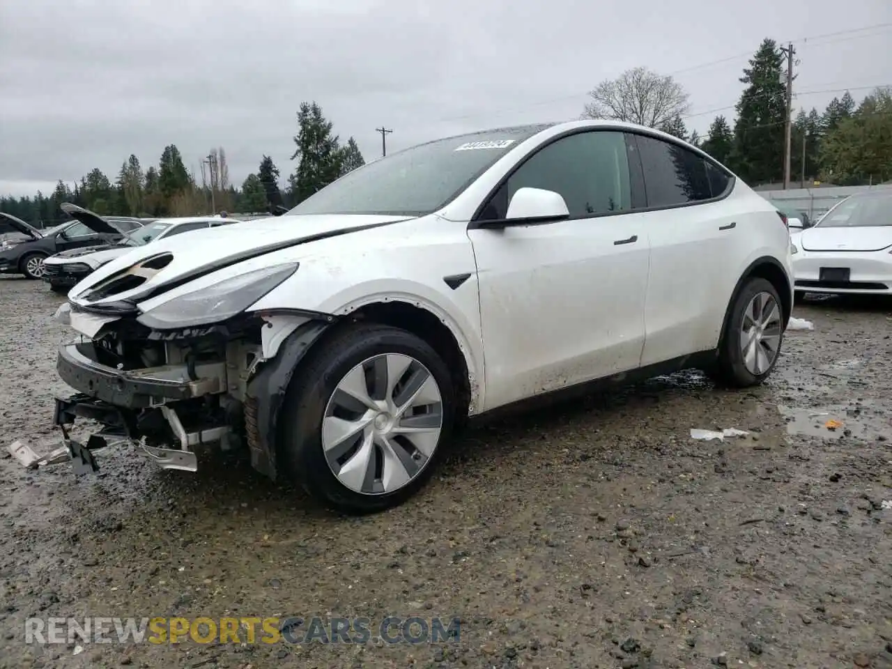 1 Photograph of a damaged car 7SAYGDEE1PF627198 TESLA MODEL Y 2023