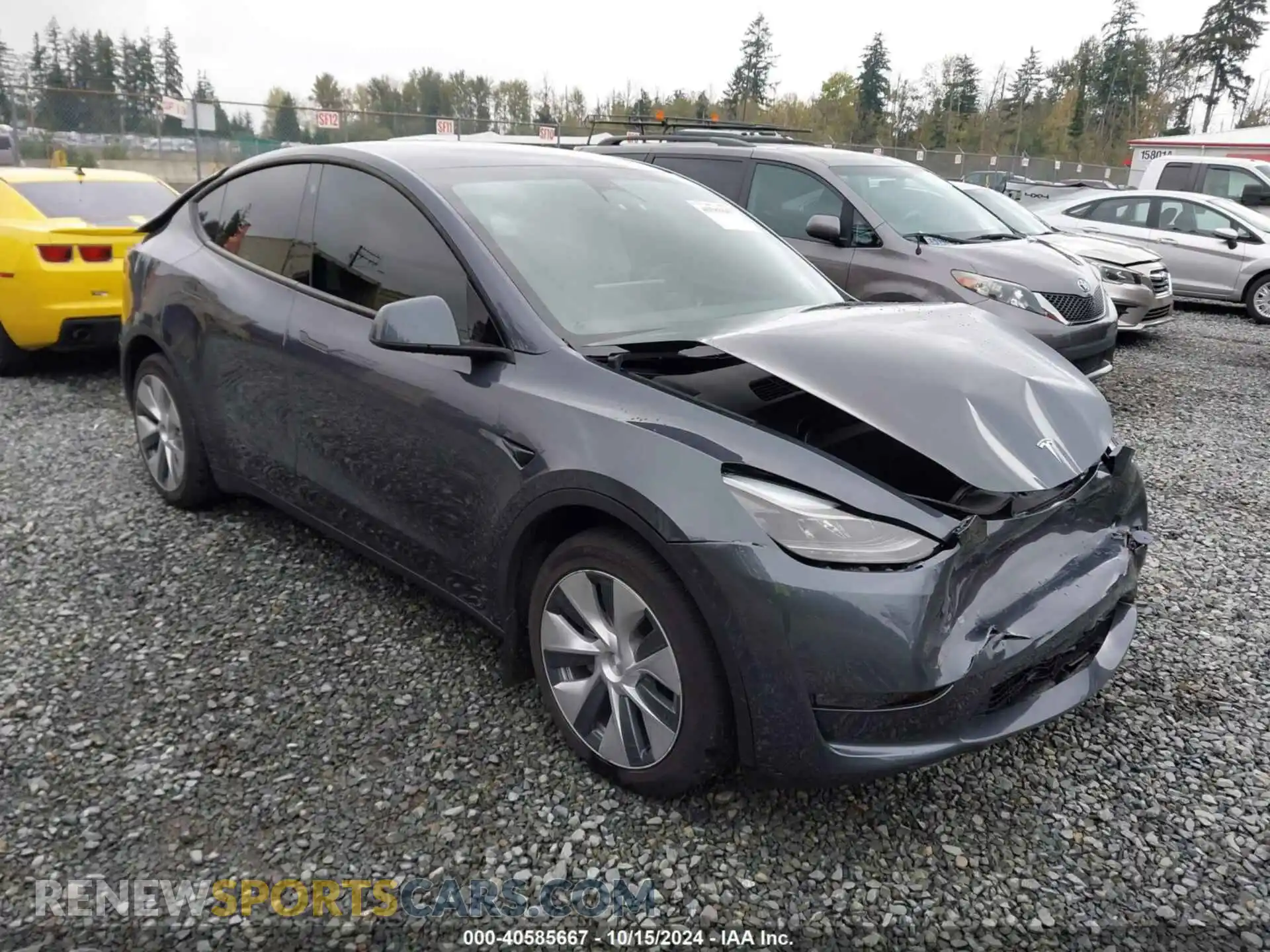 1 Photograph of a damaged car 7SAYGDEE1PF645877 TESLA MODEL Y 2023