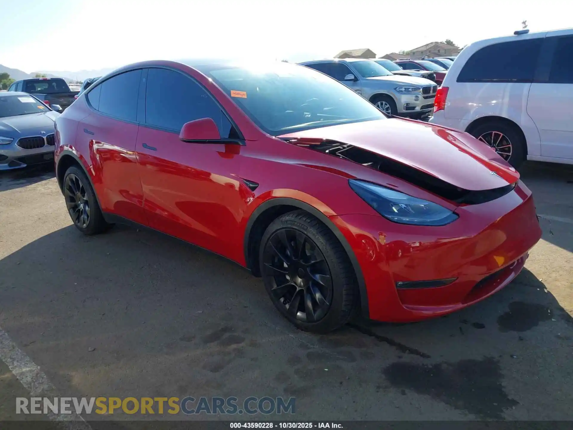 1 Photograph of a damaged car 7SAYGDEE1PF668687 TESLA MODEL Y 2023