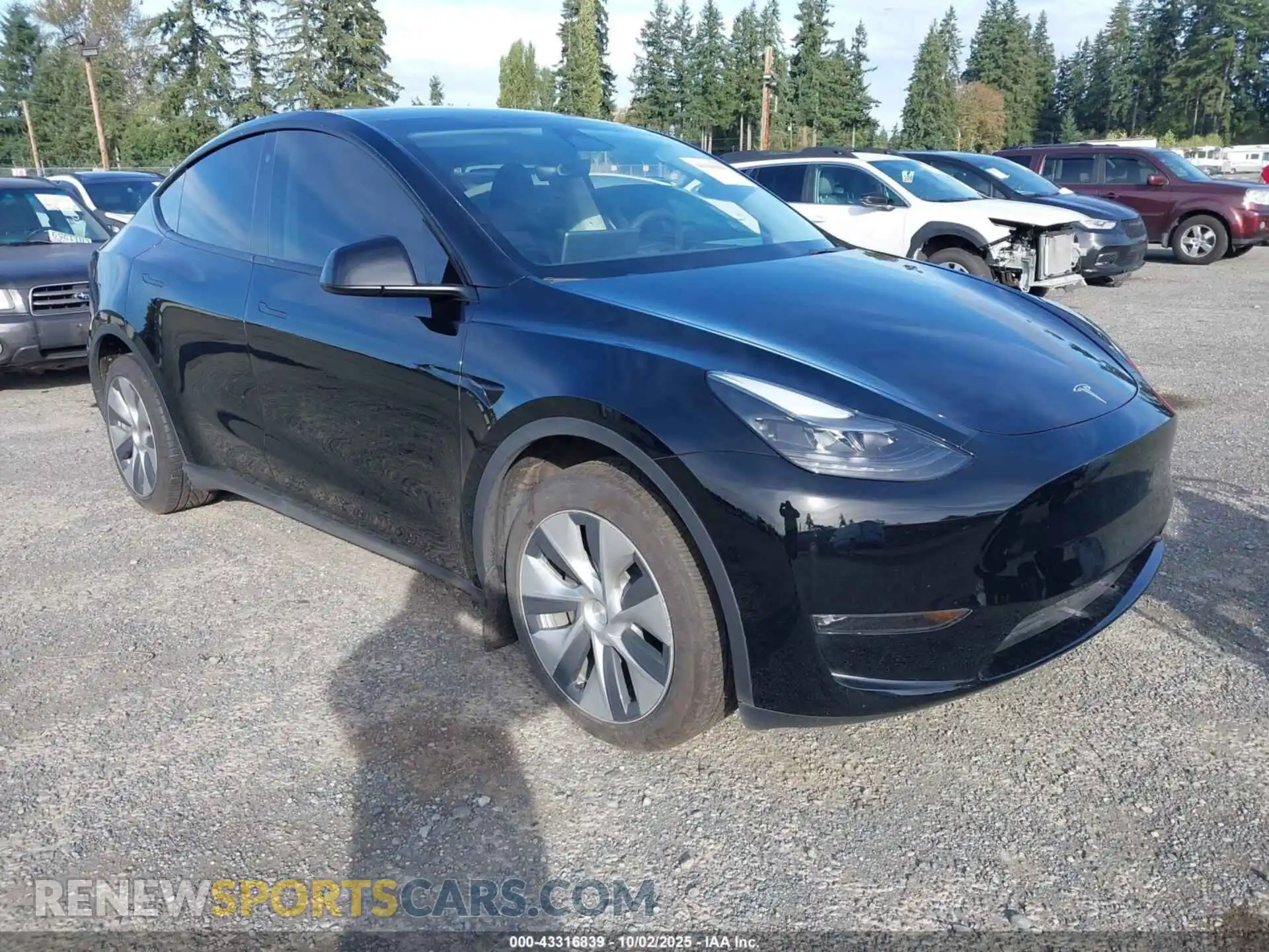 1 Photograph of a damaged car 7SAYGDEE1PF760009 TESLA MODEL Y 2023