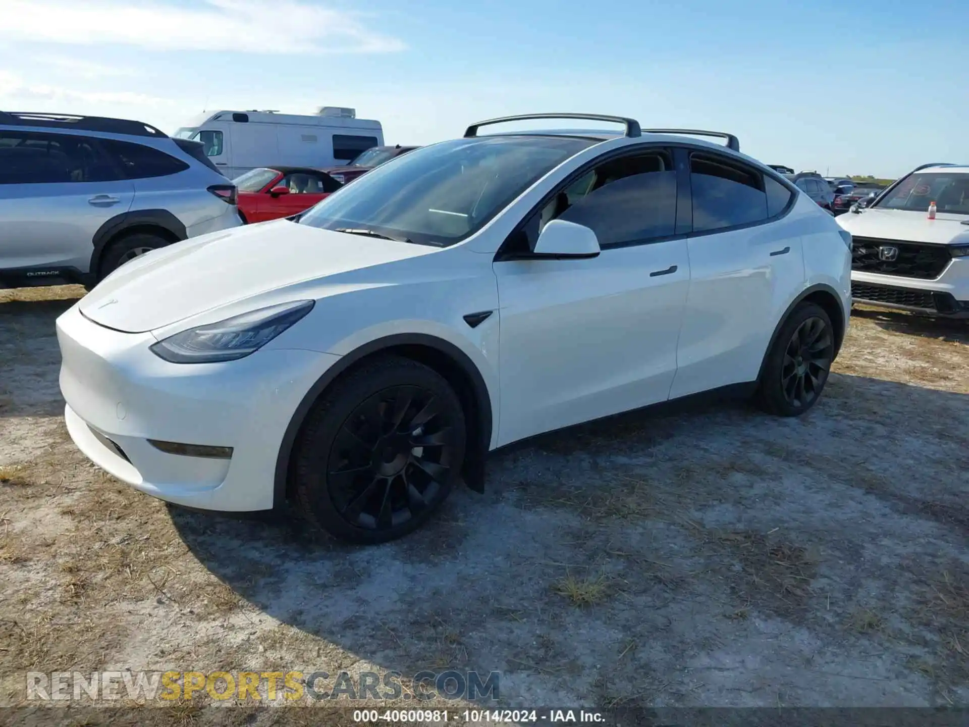 2 Photograph of a damaged car 7SAYGDEE2PA024869 TESLA MODEL Y 2023