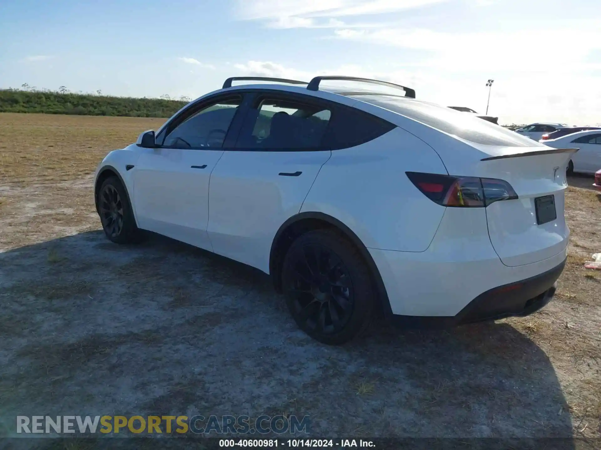 3 Photograph of a damaged car 7SAYGDEE2PA024869 TESLA MODEL Y 2023